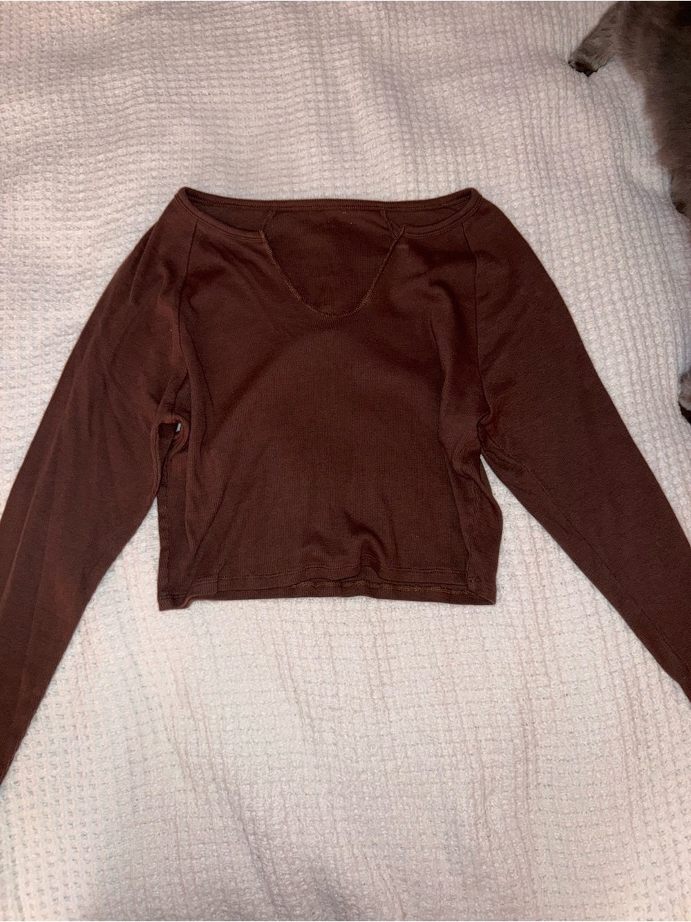 PacSun Brown Long-Sleeve Crop Top